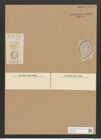 Campylodiscus ehrenbergii Ralfs (de-Toni-Nr.: Genus 57, Species 2523) Zeichnungen Sammlung Grunow Nr. 5031 (NHMW-BOT-W0373288)